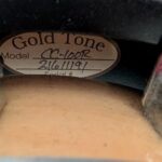 gold tone banjo cc 100r pret argent (10)