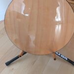 gold tone banjo cc 100r pret argent (6)