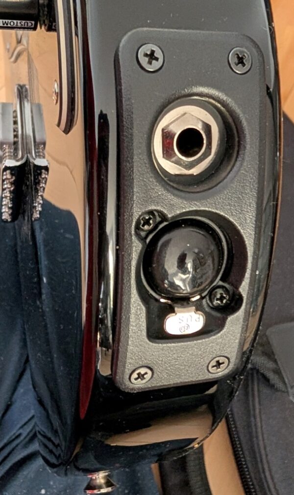 line 6 guitare electrique variax pret argent (9)