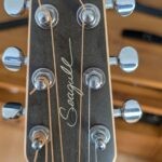 seagull guitare accoustique godin entourage rustic pret argent (5)