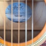 seagull guitare accoustique godin entourage rustic pret argent (6)