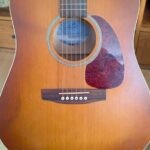 seagull guitare accoustique godin entourage rustic pret argent (7)