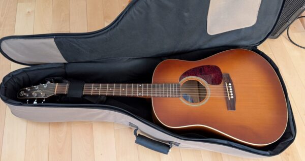 seagull guitare accoustique godin entourage rustic pret argent (9)