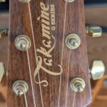 takamine g series modele eg340c electric accoustic pret argent (5)