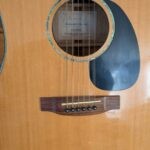 takamine g series modele eg340c electric accoustic pret argent (7)